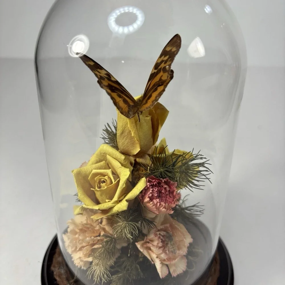 Vtg Dried Flower & Butterfly Bee Domed‎ Diorama Cloche MCM Decor Wood Base 7.5